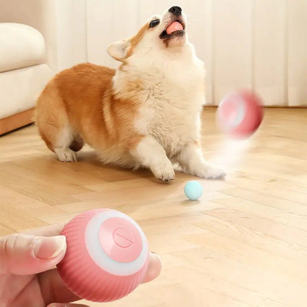 Electric Dog Toy