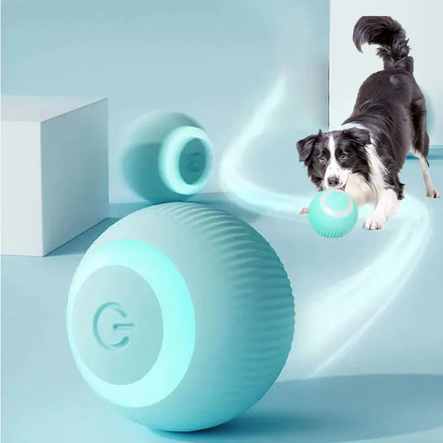 Electric Dog Toy