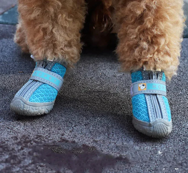 Dog Shoes